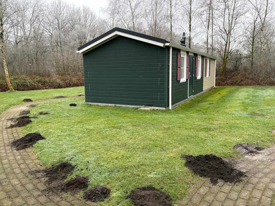 Zimmer Roompot Bospark Lunsbergen