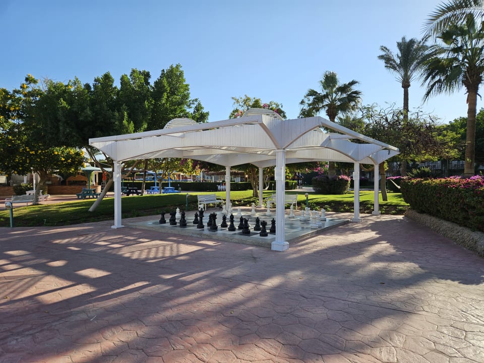 Sport & Freizeit Desert Rose