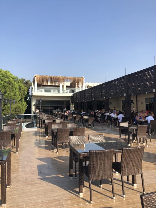 Gastro Paloma Oceana