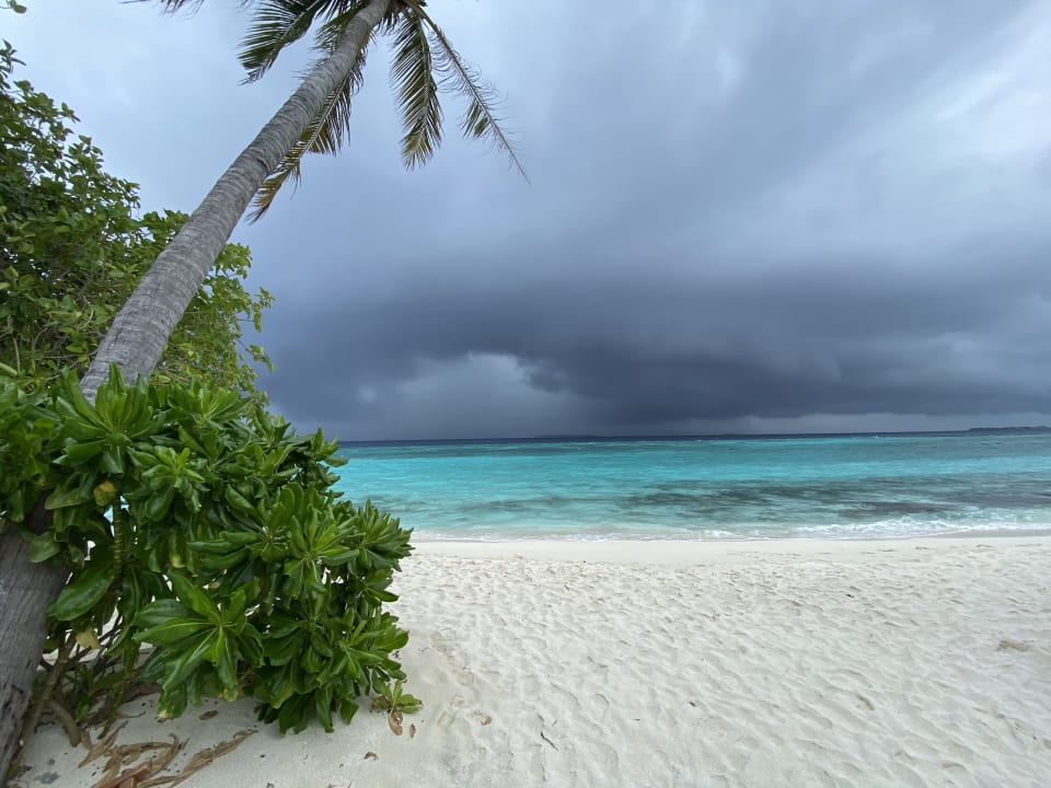 Strand Reethi Faru Resort