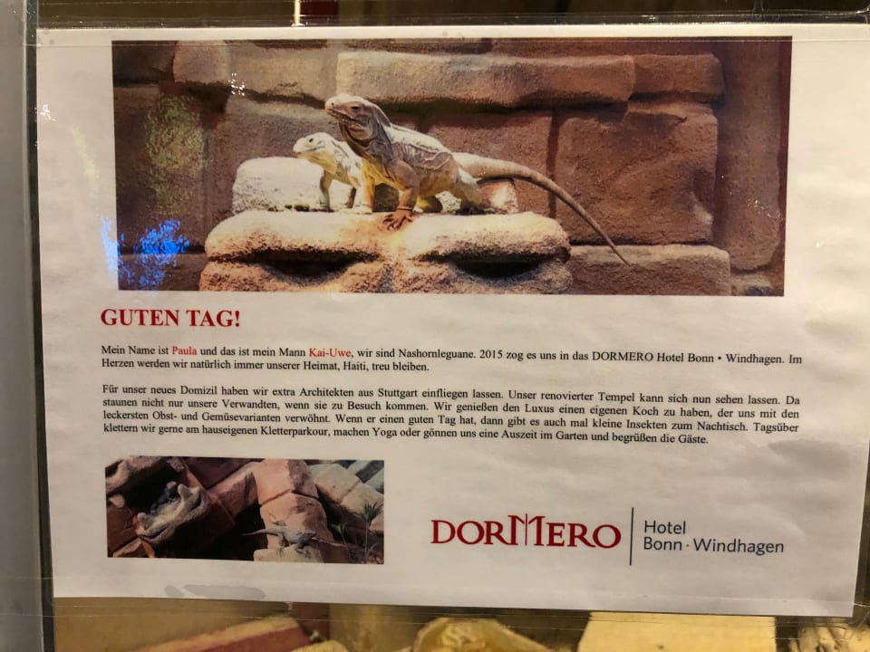 Sonstiges DORMERO Hotel Bonn - Windhagen