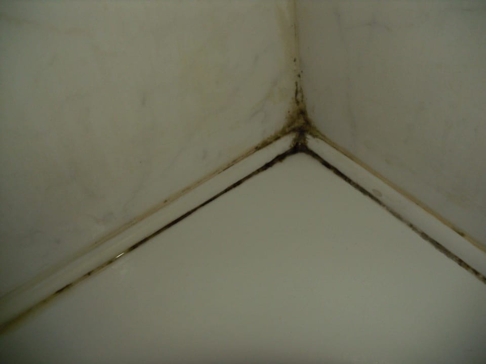 Schimmel im Bad Occidental Aran Park