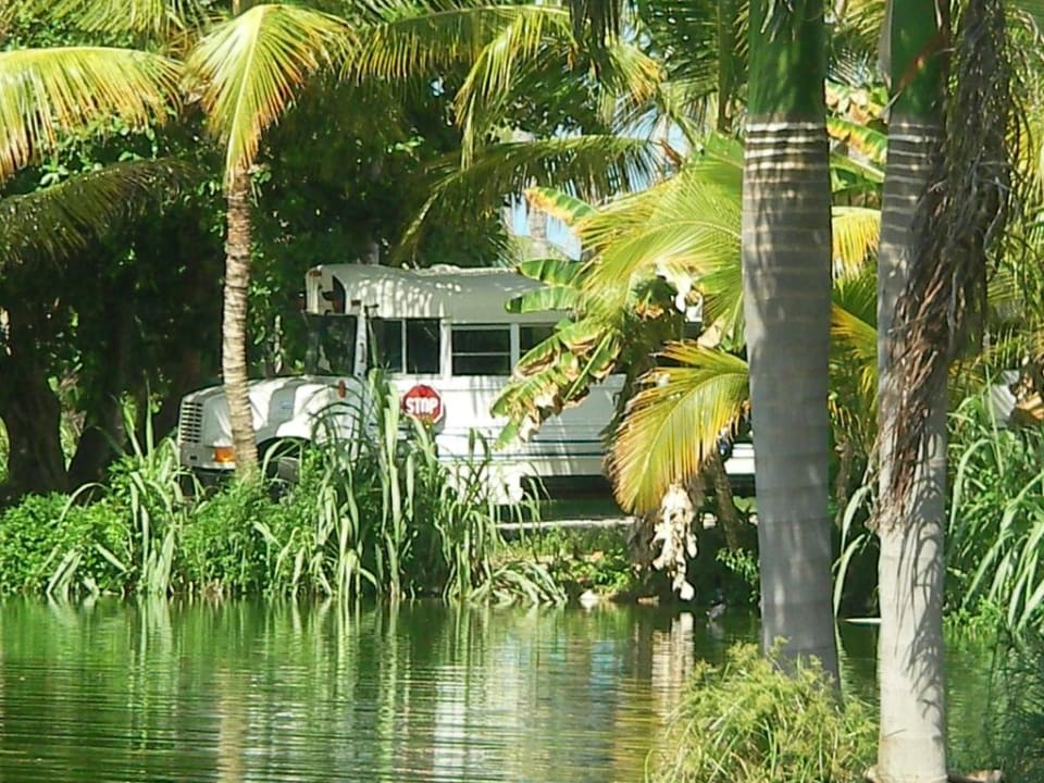 Gartenanlage_1 Villas Bavaro Resort & Spa