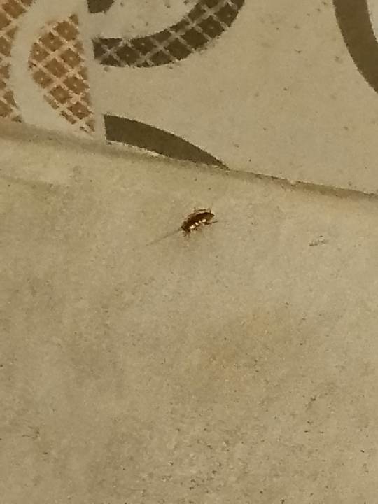 Sonstiges Hotel Neptunia Skanes