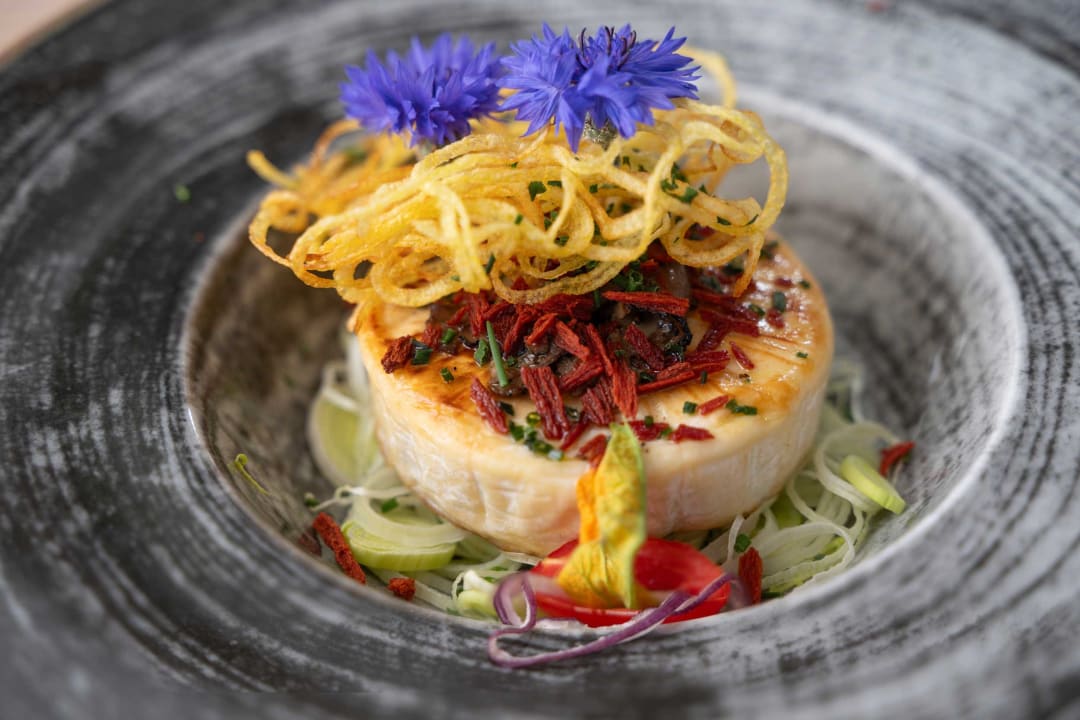 Gastro Hotel Alte Mühle