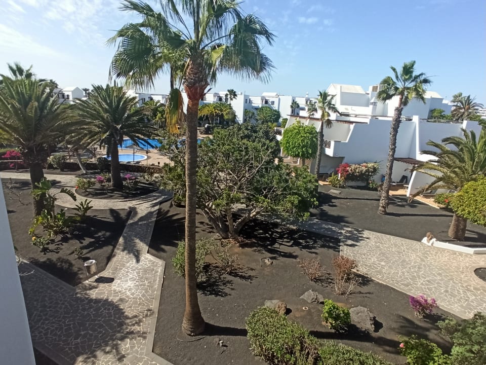 Ausblick allsun App.-Hotel Albatros