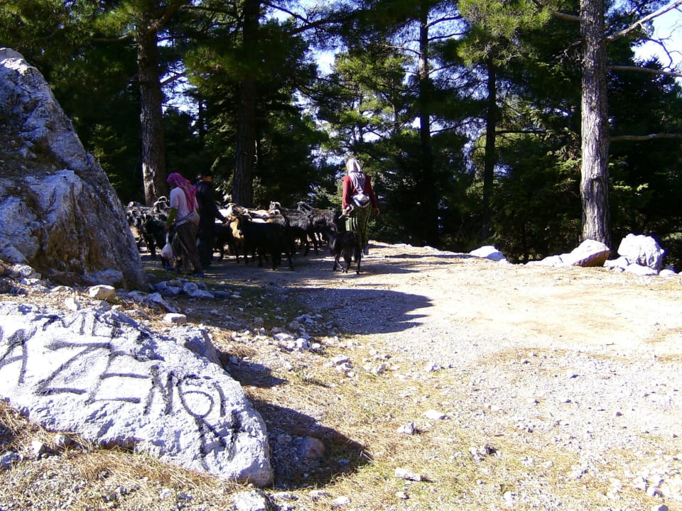 Meeting on a mountain trip Apartments Barbaros