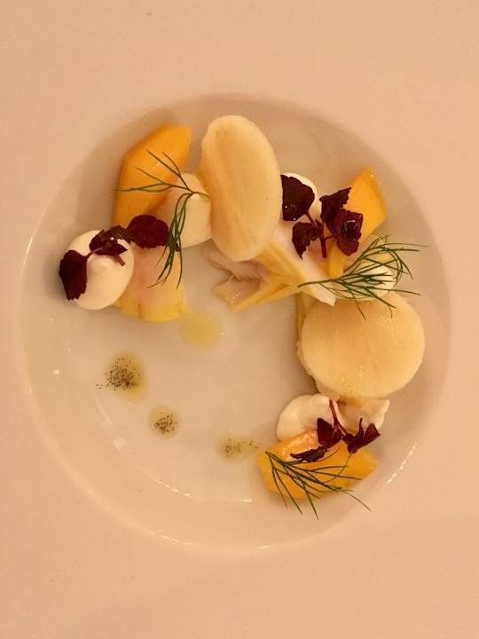 Gastro Villa Contessa