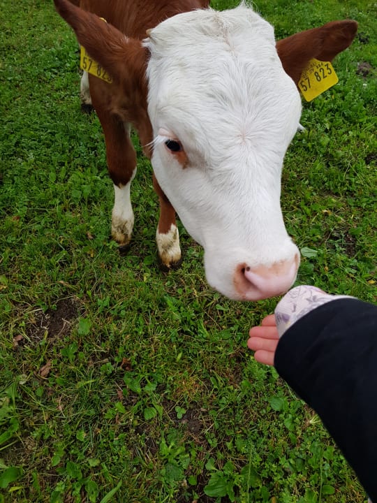 Sonstiges Ferienwohnungen Matheishof