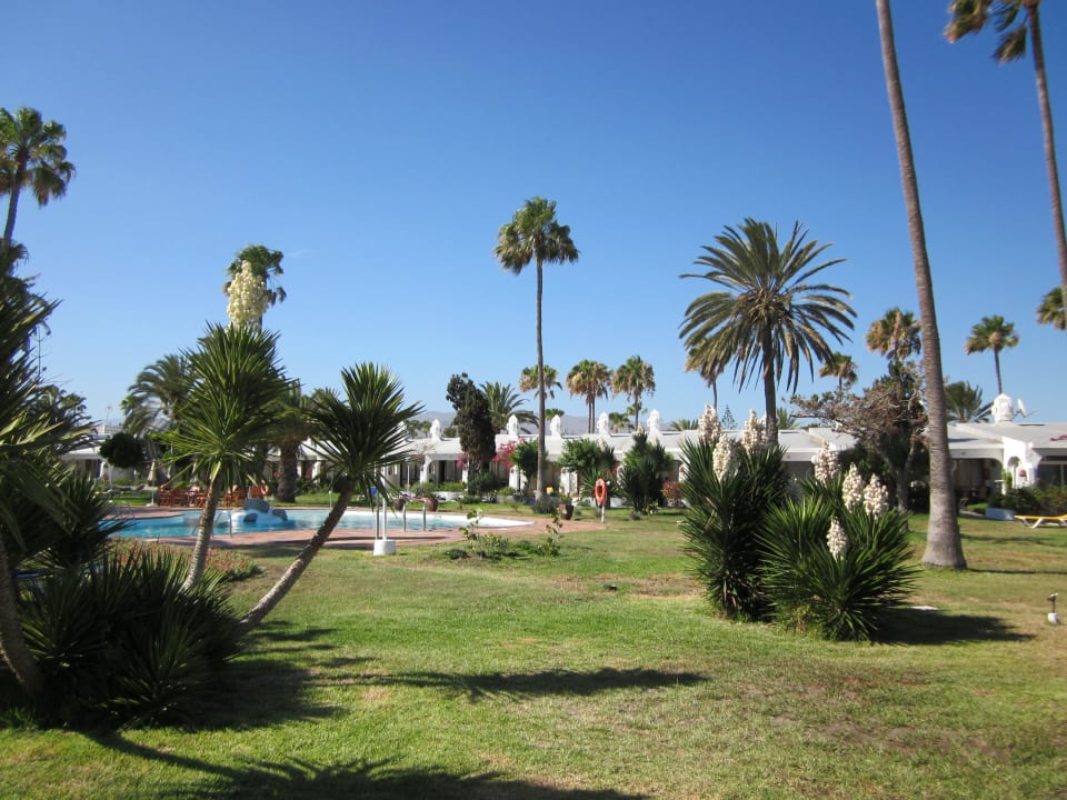 Der schöne Garten mit Pool Sahara Beach Club