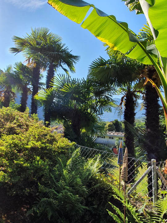 Gartenanlage Hotel Barbate