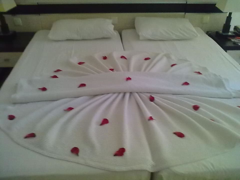 Ein Dank an die Reinigungskräfte Hotel Orfeus Park