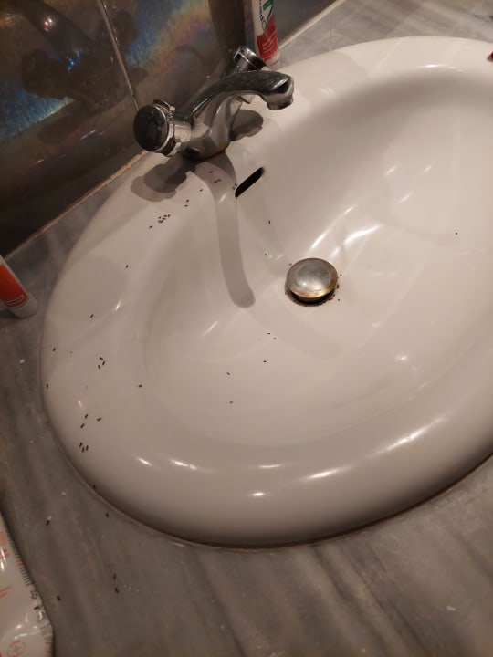 Zimmer Kipriotis Village Resort