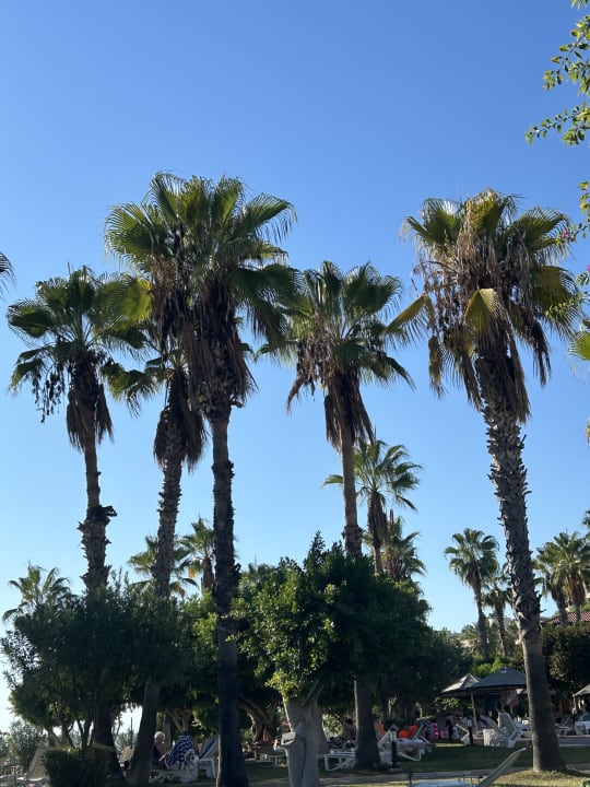 Strand Hotel Defne Star