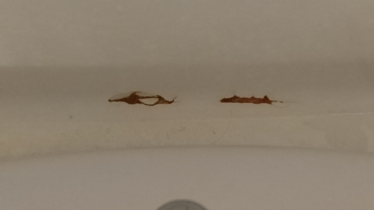 Zimmer Steigenberger Conti Hansa