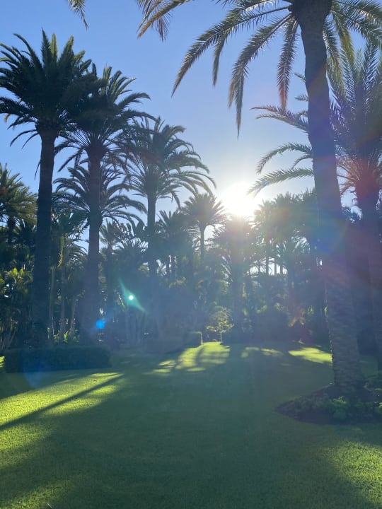 Gartenanlage Hotel Riu Palace Oasis