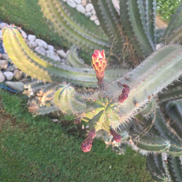 Außenansicht Golden Beach Resort