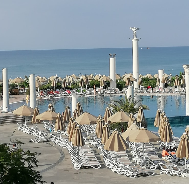 Pool Starlight Resort Hotel