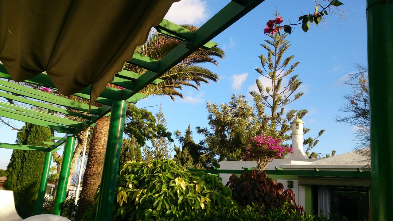 Blick von der Terrasse Bungalows Cordial Sandy Golf