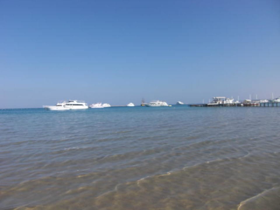 Blick aufs Meer Giftun Azur Resort