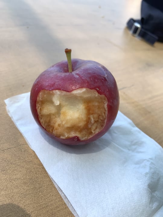 Gastro Hotel Grand Efe