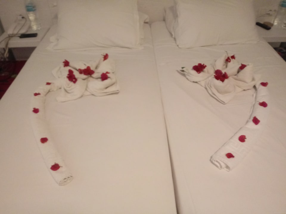 Zimmer Apollon Hotel