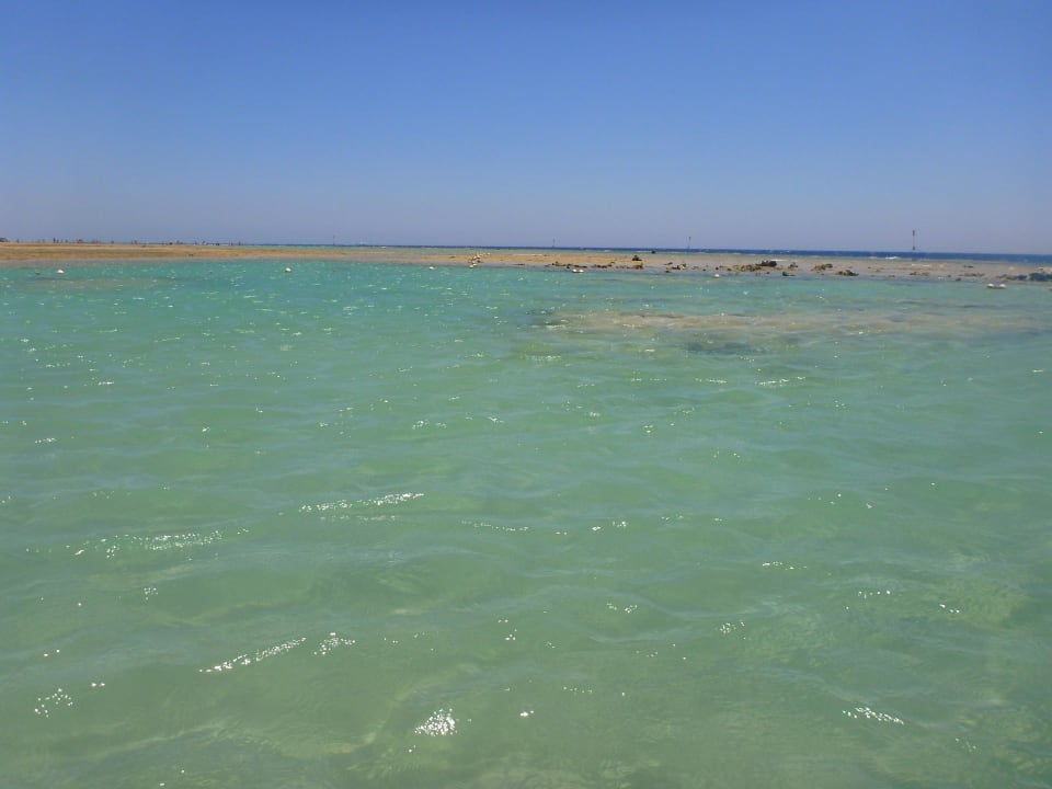 Karibisches Meerwasser Makadi Spa - Adults only