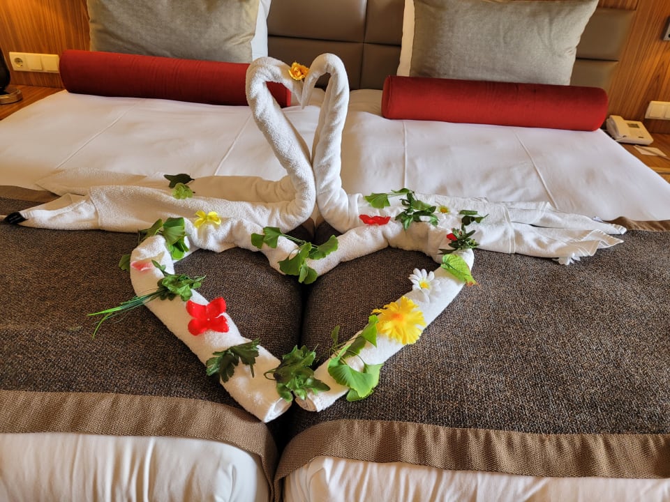 Zimmer PALOMA Perissia