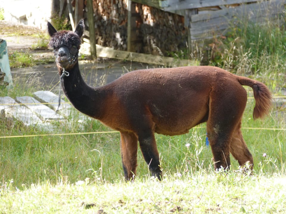Apalka Oberjoch - Familux Resort