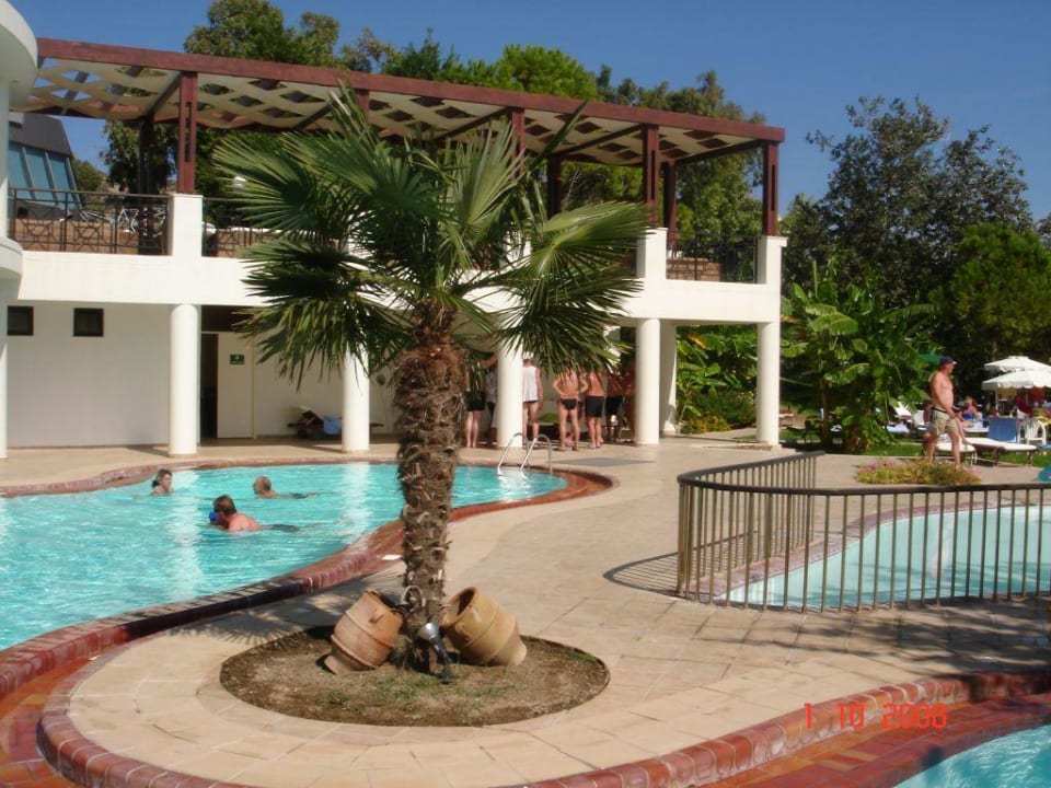 Am Pool Hotel Calypso Beach