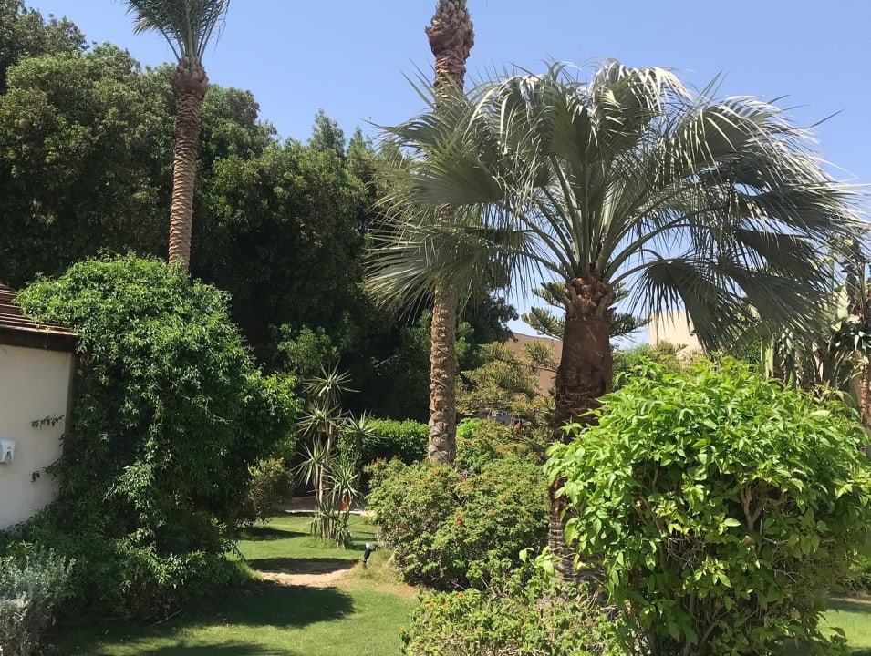 Gartenanlage Prima Life Makadi Resort