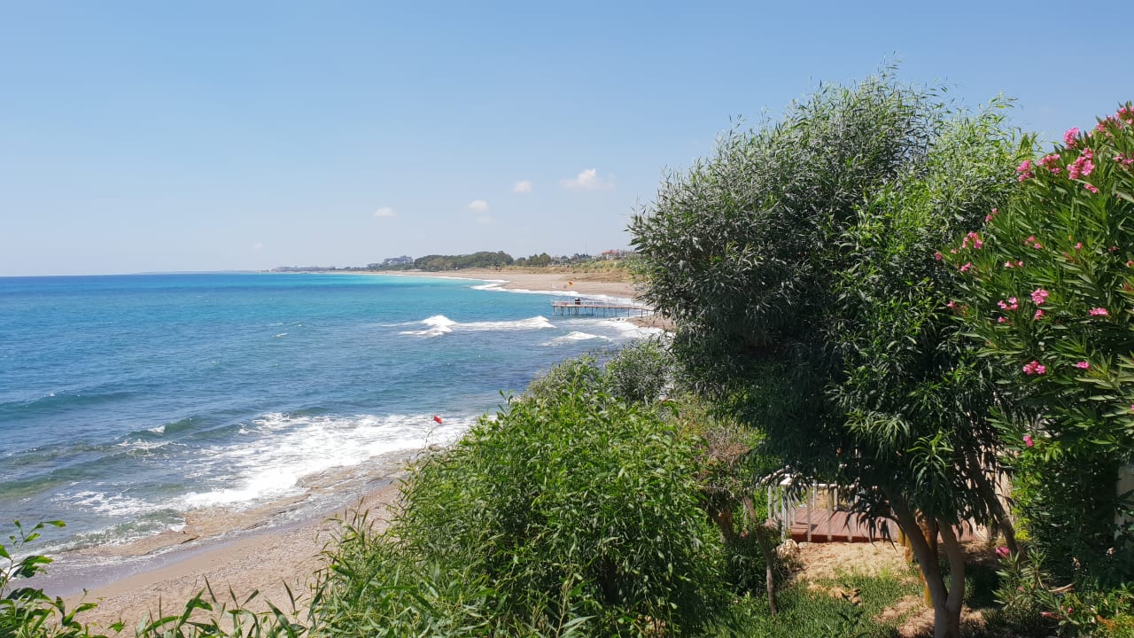 Ausblick Flora Garden Beach Hotel ( 16+ Adults Only )