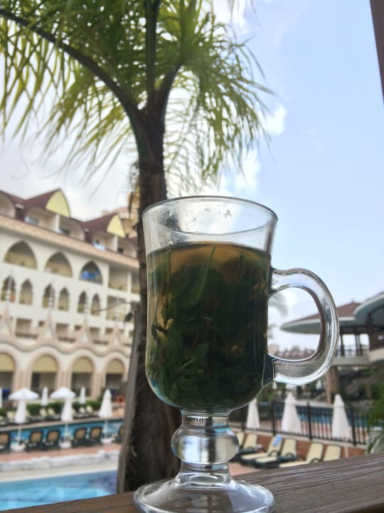 Gastro Well Palace Side