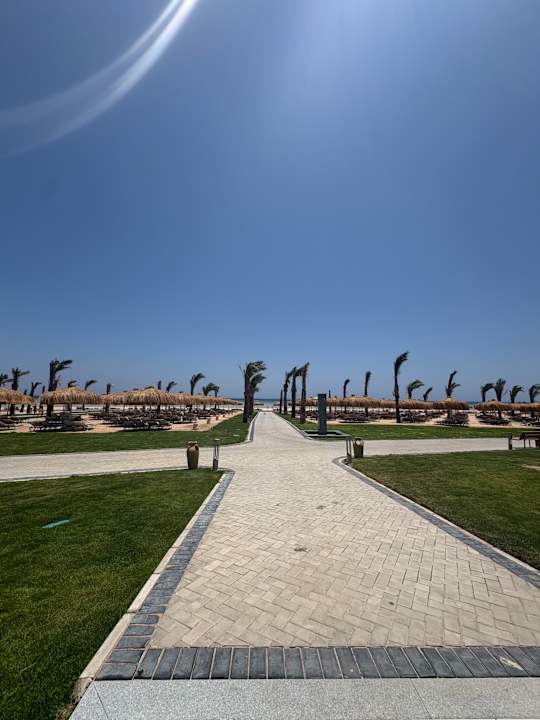 Strand JAZ Elite Asteria