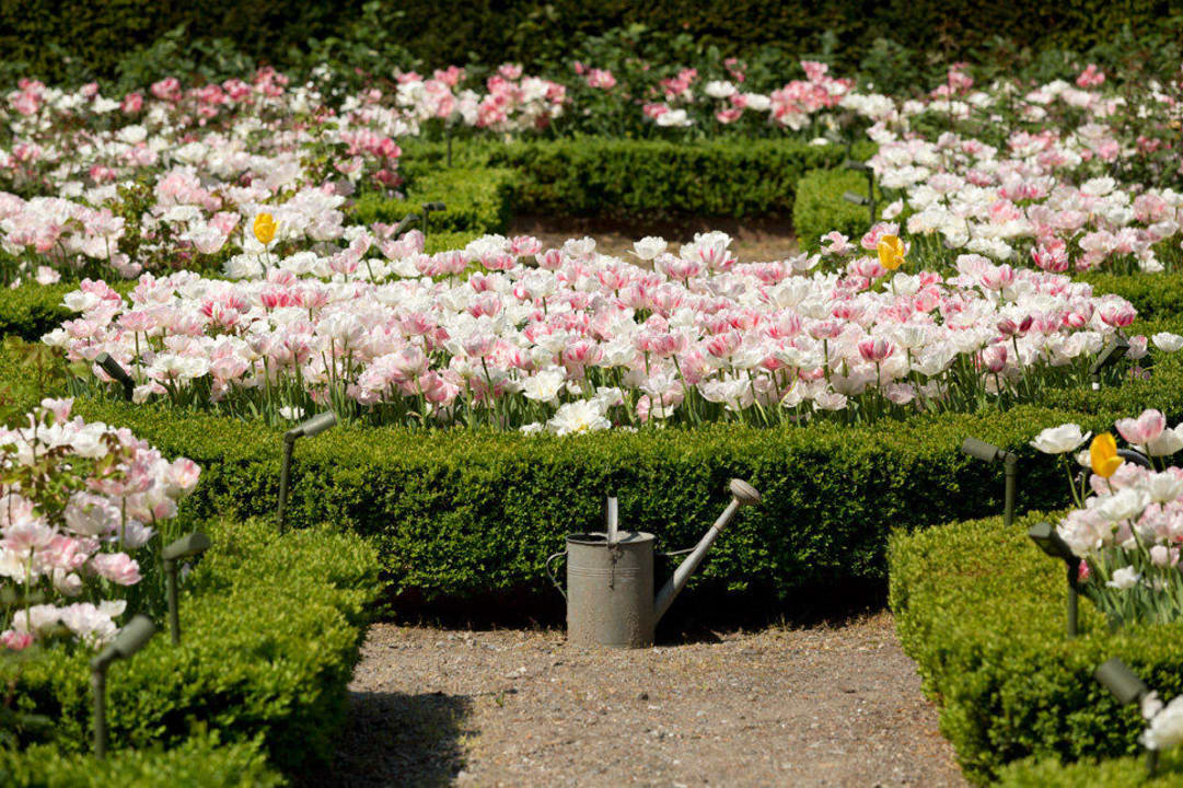 Frühling in der Irma Hotel Villa Irma