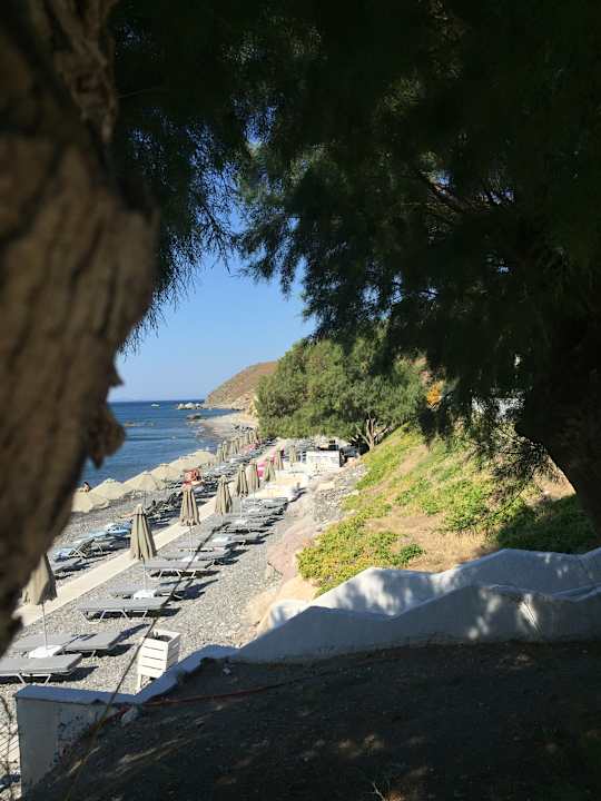 Ausblick Dimitra Beach Hotel & Suites