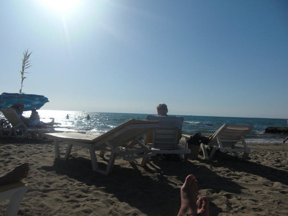 Immer sauber Hotel Neptün/Neptun