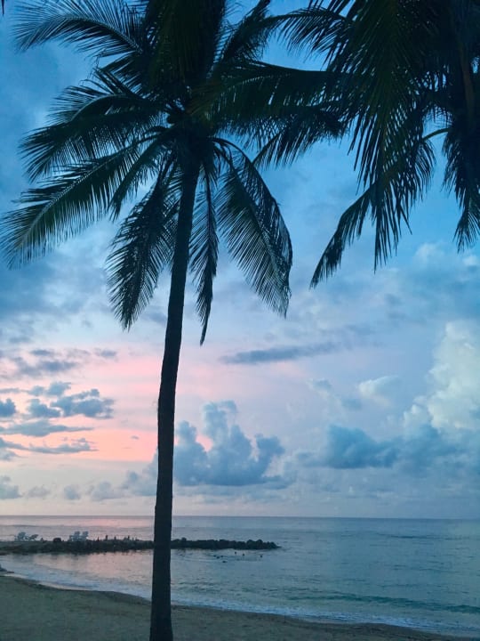 Strand Hyatt Zilara Rose Hall Adults Only - All Inclusive