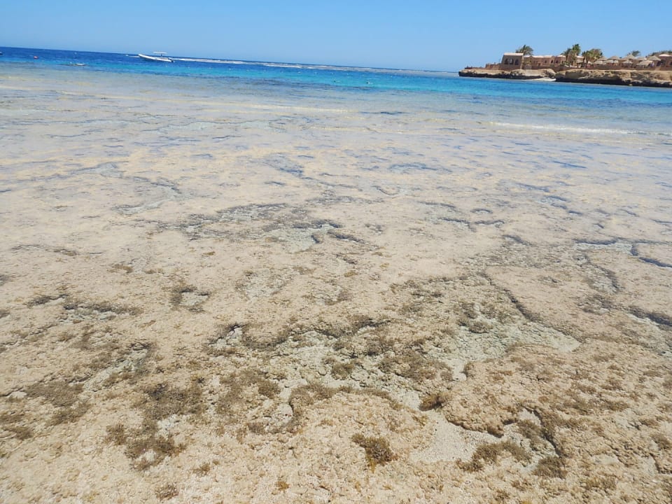 Strand Mövenpick Resort El Quseir
