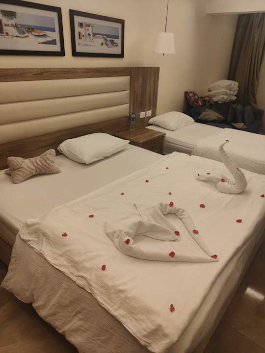 Zimmer Beach Albatros Resort