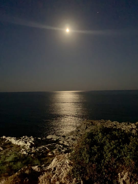 Ausblick Hotel Kalithea Horizon Royal