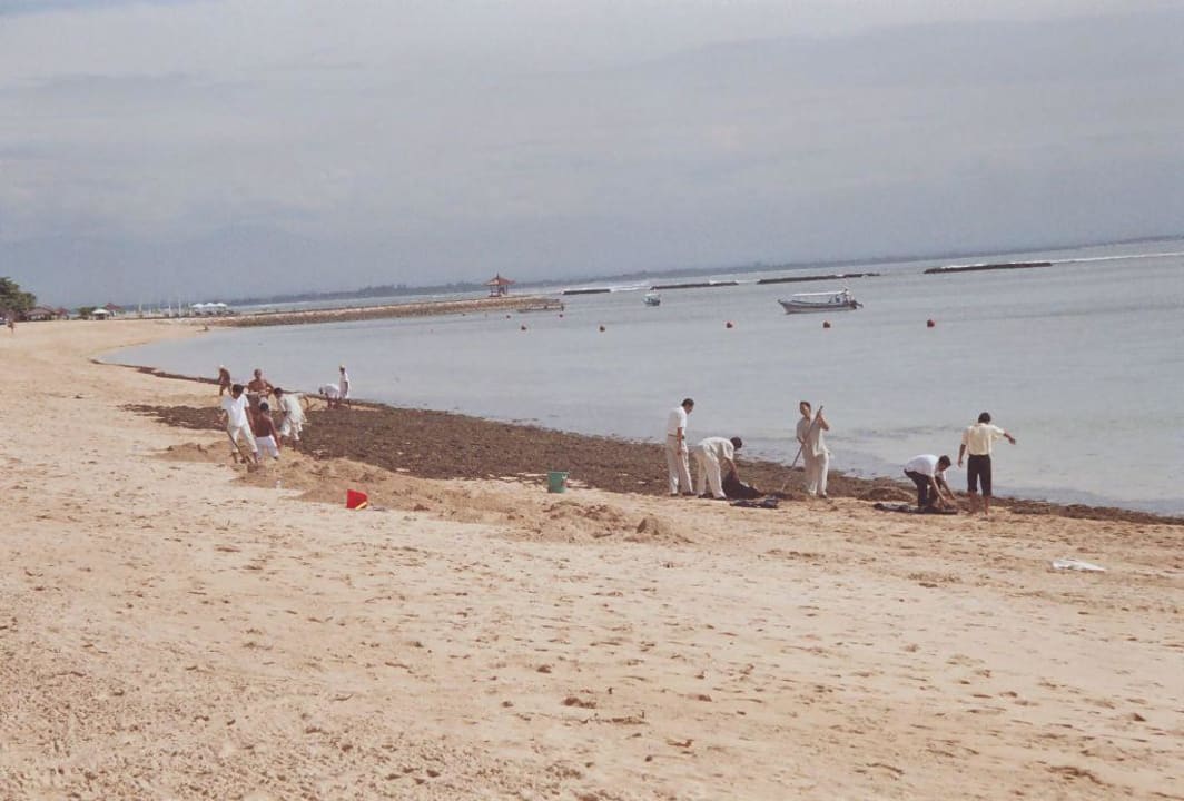 Strandreinigung The Laguna A Luxury Collection Resort & Spa