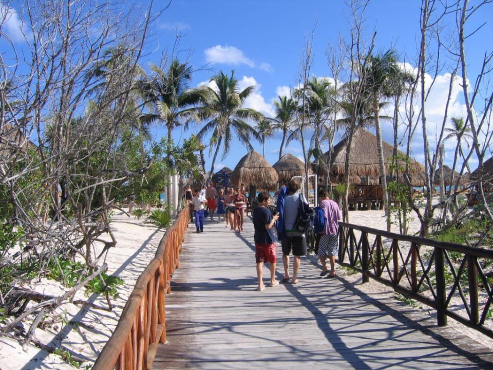 Durch den Mangrovenwald Iberostar Waves Paraiso del Mar
