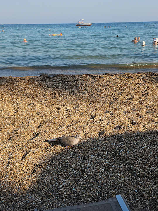 Strand Selene Beach & Spa Hotel