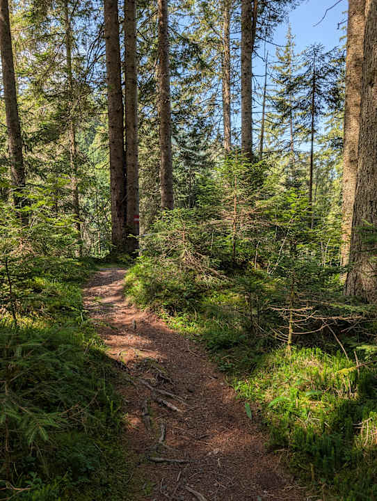 Ausblick Das Bramberg - Wildkogel Resorts