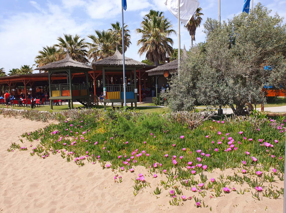 Strand Blue Waters Club