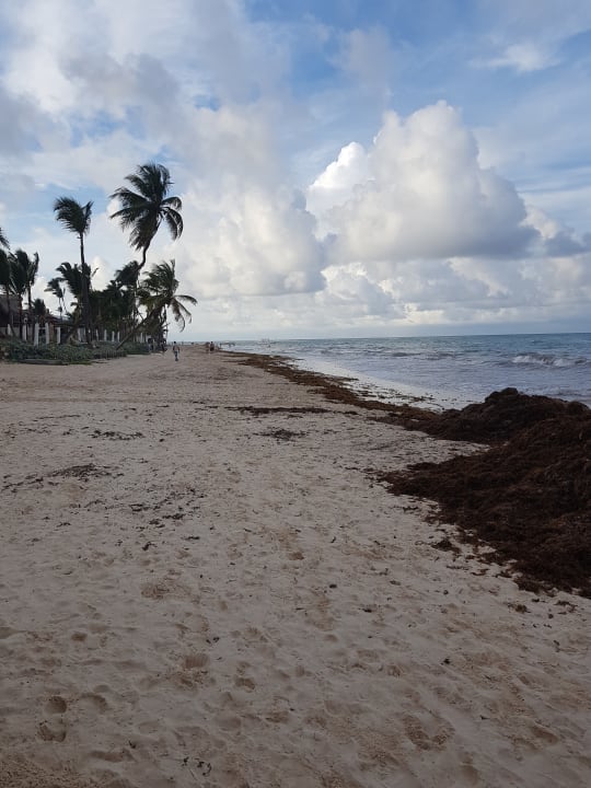 Strand Punta Cana Princess All Suites Resort & Spa