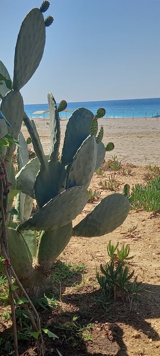 Strand Cenger Beach Resort & Spa