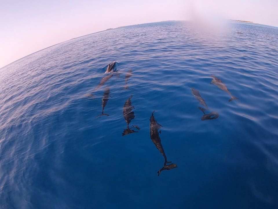 Sport & Freizeit Kihaa Maldives