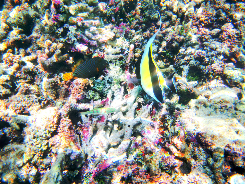 Sport & Freizeit Angaga Island Resort